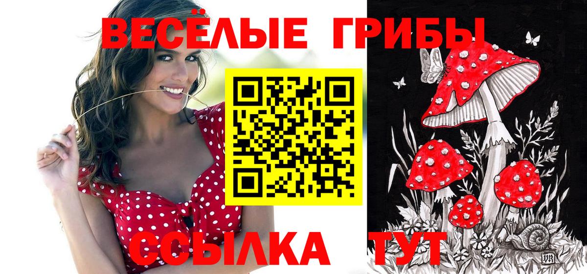 Тула  Галлюциногенные грибы Cubensis  Вход с VPN 