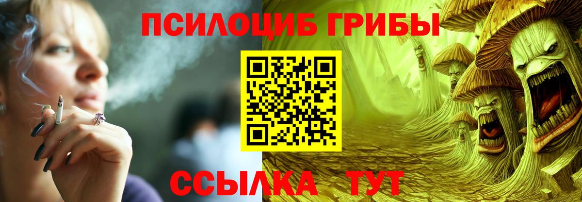 Псилоцибиновые грибы прущие грибы Тула